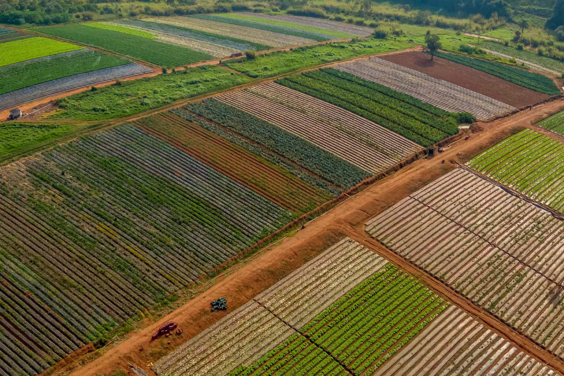 Field guidance for Growmate Uganda crop support